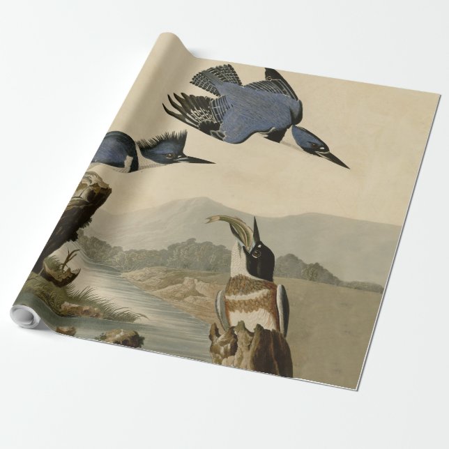Audubon Belted Kingfisher Wildlife Bird Geschenkpapier (Ungerollt)