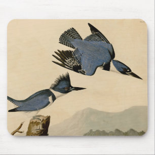 Audubon Belted Kingfisher Wildlife Bird Mousepad