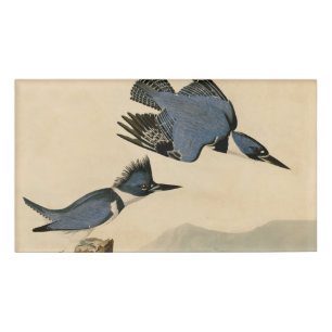 Audubon Belted Kingfisher Wildlife Bird Namenschild