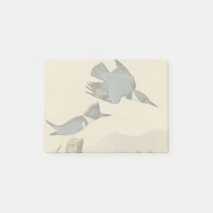 Audubon Belted Kingfisher Wildlife Bird Post-it Klebezettel