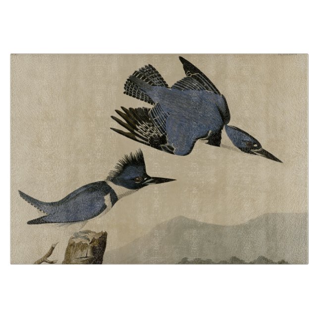 Audubon Belted Kingfisher Wildlife Bird Schneidebrett (Vorderseite)