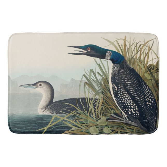 Audubon Bird Loon Diver Classic Badematte (Vorderseite)