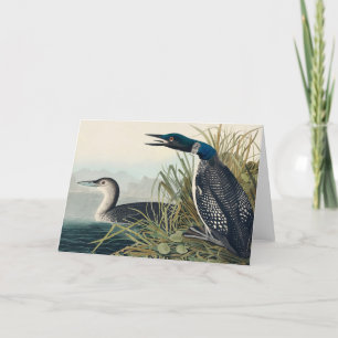 Audubon Bird Loon Diver Classic Dankeskarte