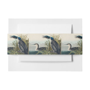 Audubon Bird Loon Diver Classic Einladungsbanderole