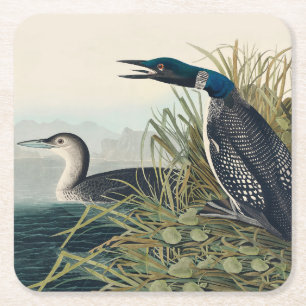 Audubon Bird Loon Diver Classic Rechteckiger Pappuntersetzer