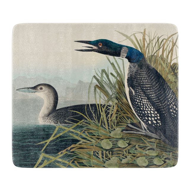 Audubon Bird Loon Diver Classic Schneidebrett (Vorderseite)