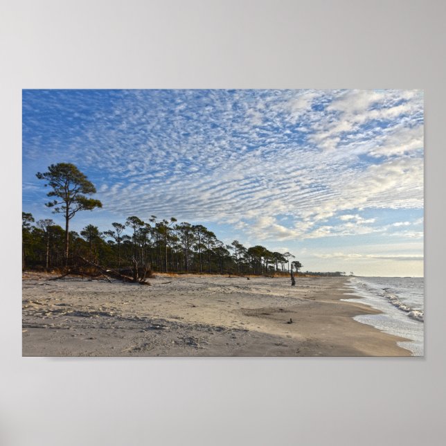 Audubon Bird Refuge Beach, Dauphin Island, Alabama Poster (Vorne)