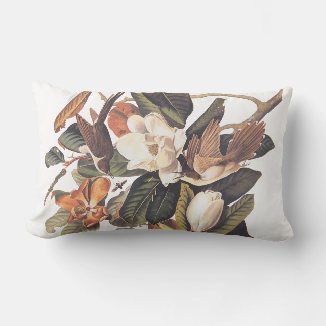 Audubon Black Billed Cuckoo Lumbar Pillow Lendenkissen (Vorderseite)