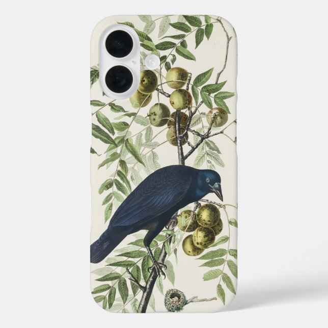 Audubon Black Crow American Bird Illustration Case-Mate iPhone Hülle (Rückseite)