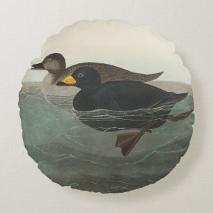 Audubon Black Scoter Druck: Vintage Küstenente Rundes Kissen