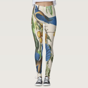 Audubon blaue Jay-Vögel ganz über Druck-Leggings Leggings