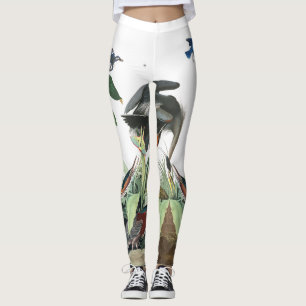 Audubon blaue Reiherloon-Drossel-Vogel-Leggings Leggings