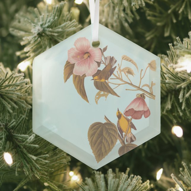 Audubon Blue Winged Ornament Aus Glas (Insitu)