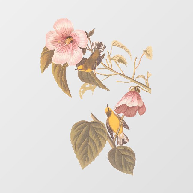 Audubon Blue Winged Yellow Warbler Bird Glass Orna Fensteraufkleber (Blatt)