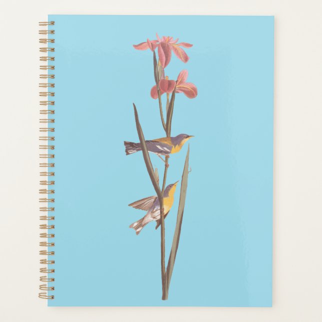 Audubon Blue Yellowback Warbler Song Birds Planer (Vorderseite)