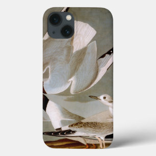 Audubon: Bonaparte's Gull Case-Mate iPhone Hülle
