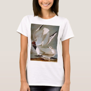 Audubon: Bonapartes Möve T-Shirt
