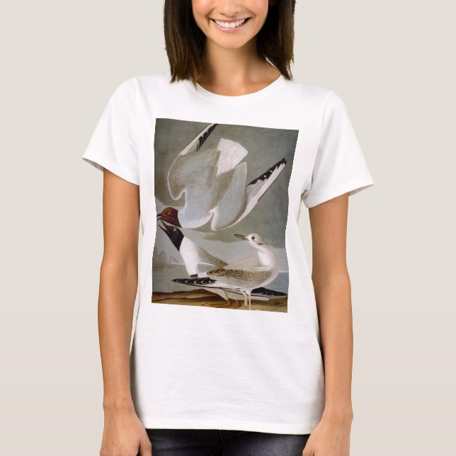 Audubon: Bonapartes Möve T-Shirt (Vorderseite)