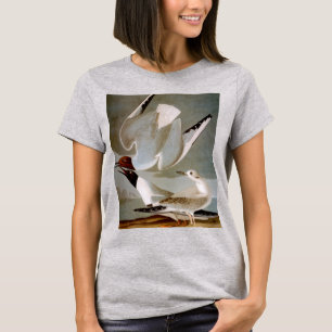 Audubon: Bonapartes Möve T-Shirt