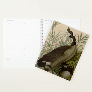 Audubon Canada Goose Wildlife Bird Planer