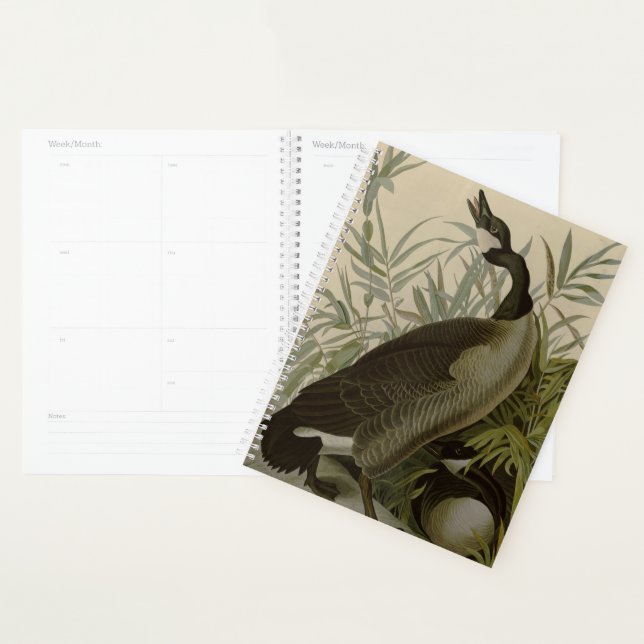 Audubon Canada Goose Wildlife Bird Planer (Anzeige)