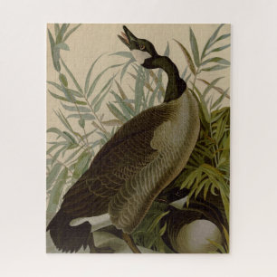Audubon Canada Goose Wildlife Bird Puzzle