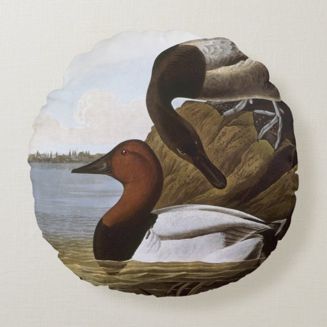 Audubon: Canvasback Rundes Kissen (Vorderseite)