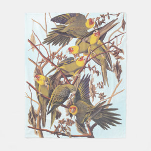 Audubon Carolina Parakeet Flock Fleecedecke