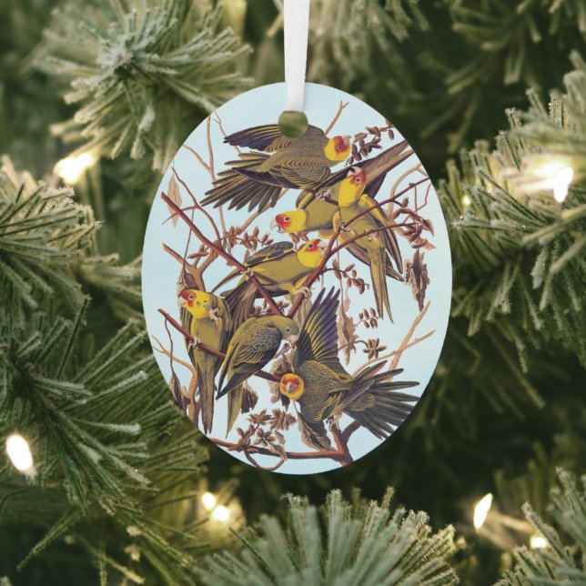 Audubon Carolina Parakeet Flock Ornament Aus Metall (InSitu)