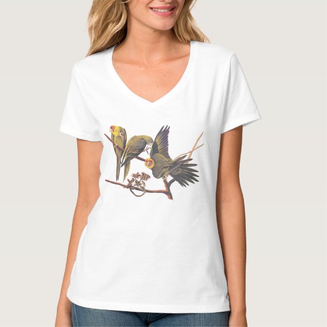 Audubon Carolina Parakeet Trio T-Shirt (Vorderseite)