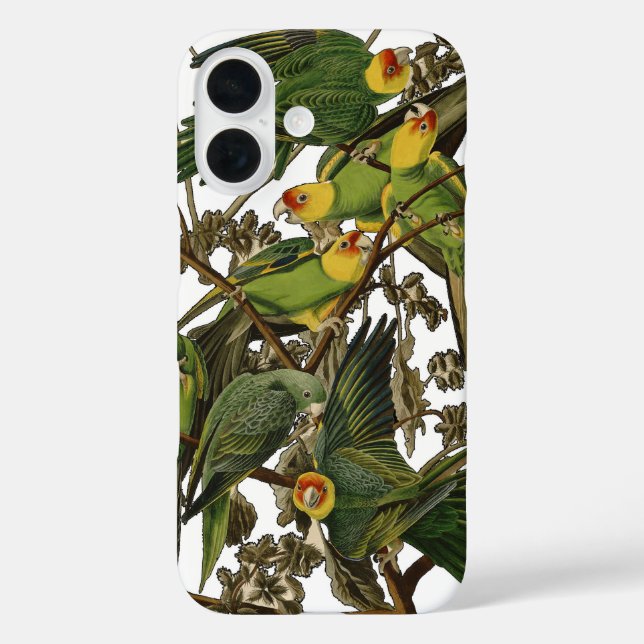 Audubon Carolina Parrot Bird Illustration Case-Mate iPhone Hülle (Rückseite)