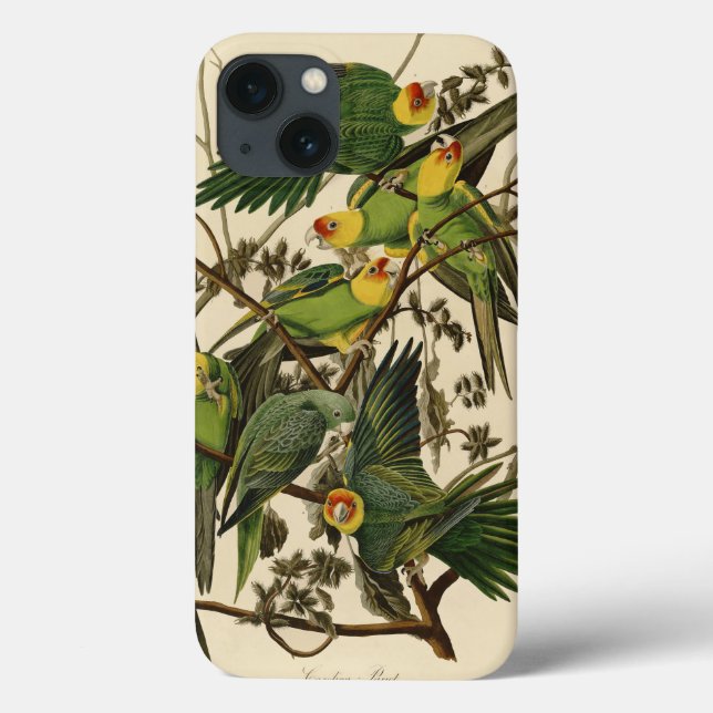 Audubon Carolina Parrot Bird Illustration Case-Mate iPhone Hülle (Rückseite)