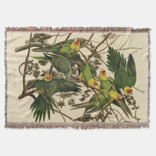 Audubon Carolina Parrot Bird Illustration Decke