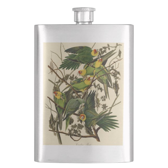 Audubon Carolina Parrot Bird Illustration Flachmann (Vorderseite)