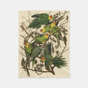 Audubon Carolina Parrot Bird Illustration Fleecedecke