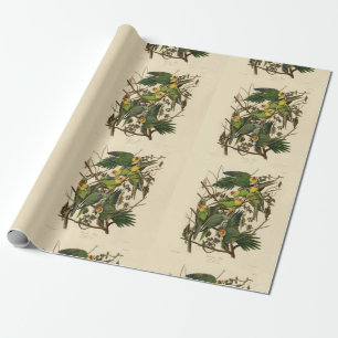 Audubon Carolina Parrot Bird Illustration Geschenkpapier