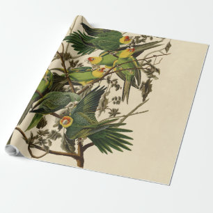 Audubon Carolina Parrot Bird Illustration Geschenkpapier