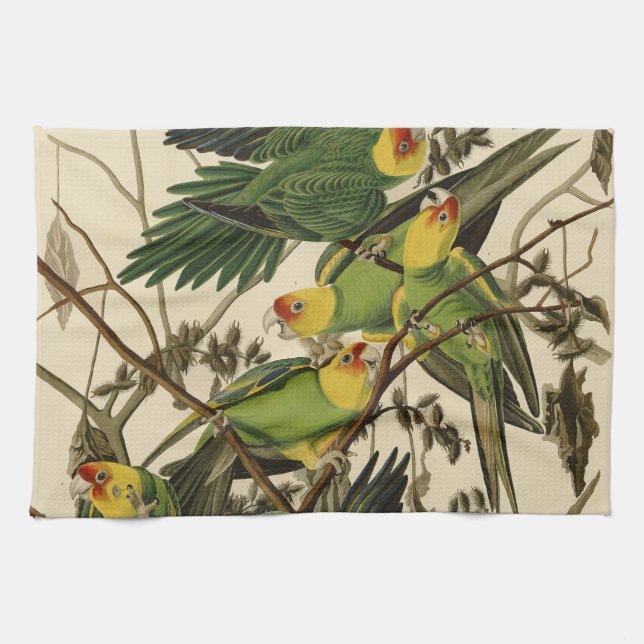 Audubon Carolina Parrot Bird Illustration Handtuch (Horizontal)