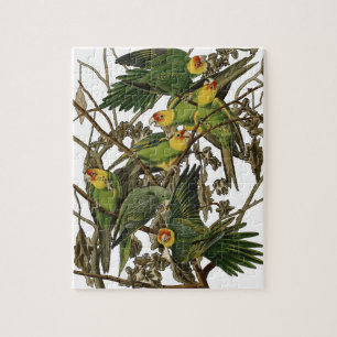 Audubon Carolina Parrot Bird Illustration Puzzle