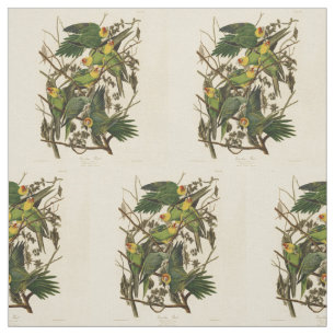 Audubon Carolina Parrot Bird Illustration Stoff