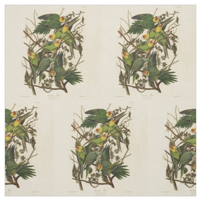 Audubon Carolina Parrot Bird Illustration Stoff (Muster)