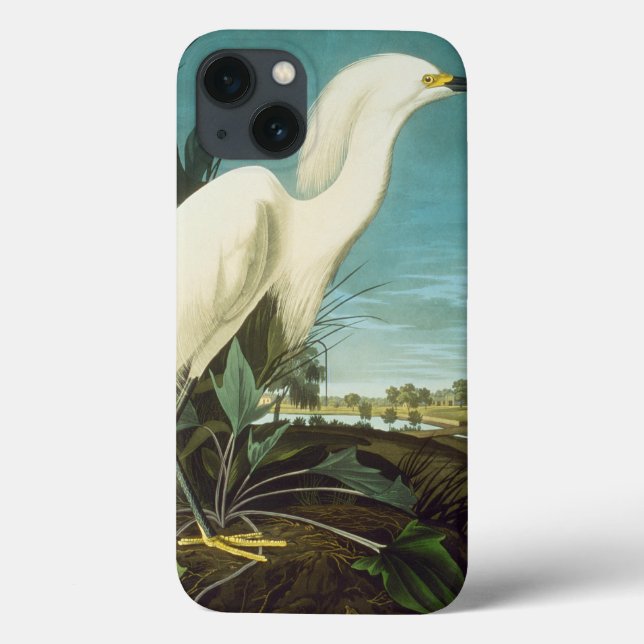 Audubon Case-Mate iPhone Hülle (Rückseite)