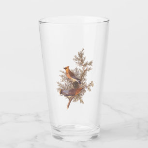 Audubon Cedar Waxwing Bird Glas