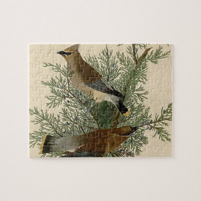 Audubon Cedar Waxwing Bird Puzzle (Horizontal)