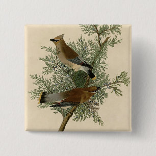 Audubon Cedar Waxwing Button