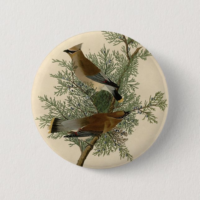 Audubon Cedar Waxwing Button (Vorderseite)