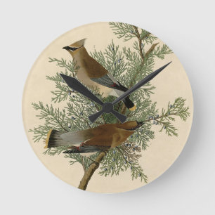 Audubon Cedar Waxwing Runde Wanduhr