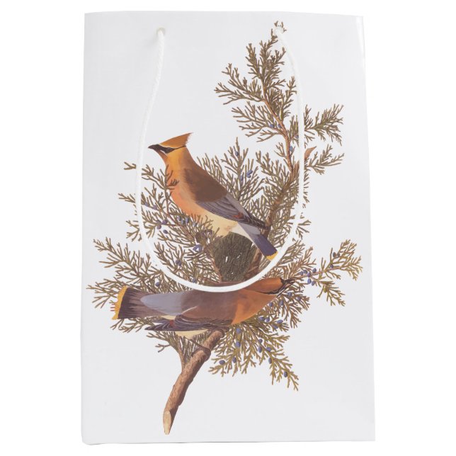 Audubon Cedar Waxwing Songbirds in Junior Mittlere Geschenktüte (Vorderseite)