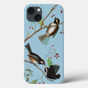 Audubon: Chickadee Case-Mate iPhone Hülle