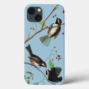 Audubon: Chickadee Case-Mate iPhone Hülle